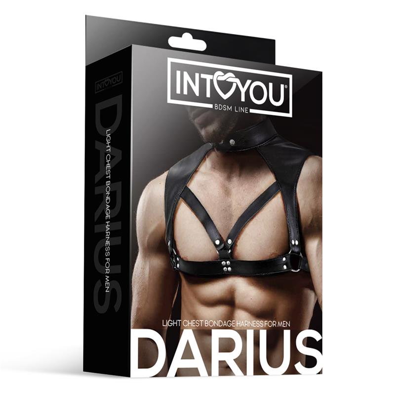 Iron Collar Bulldog – Harnais de Puissance "Darius"