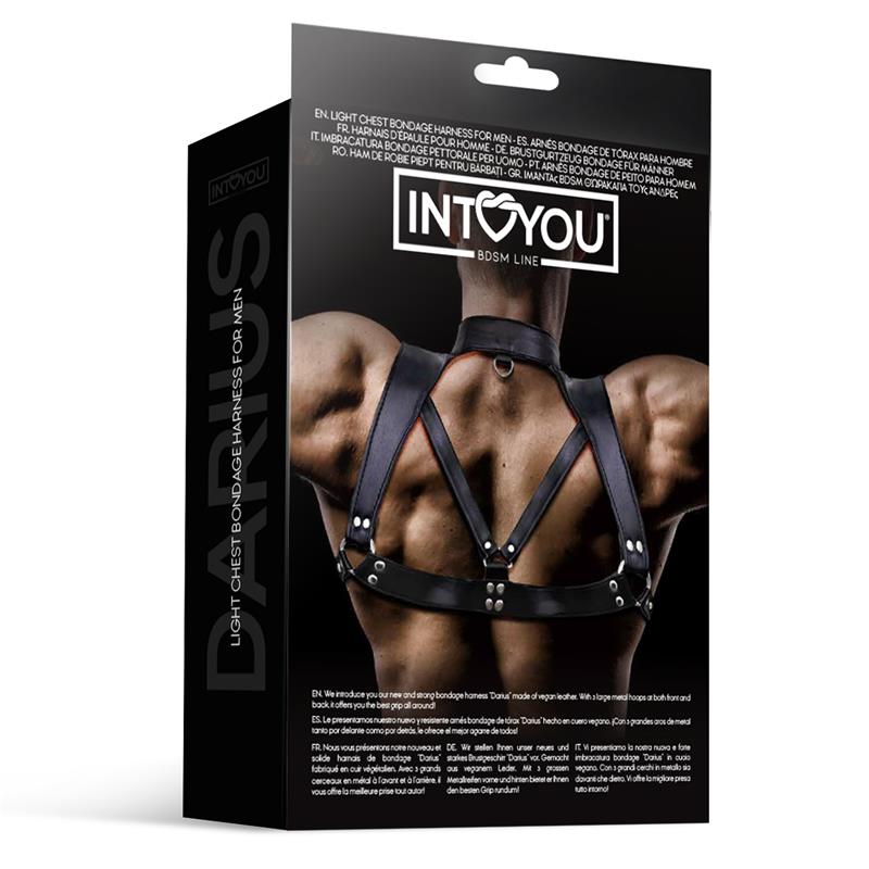 Iron Collar Bulldog – Harnais de Puissance "Darius"